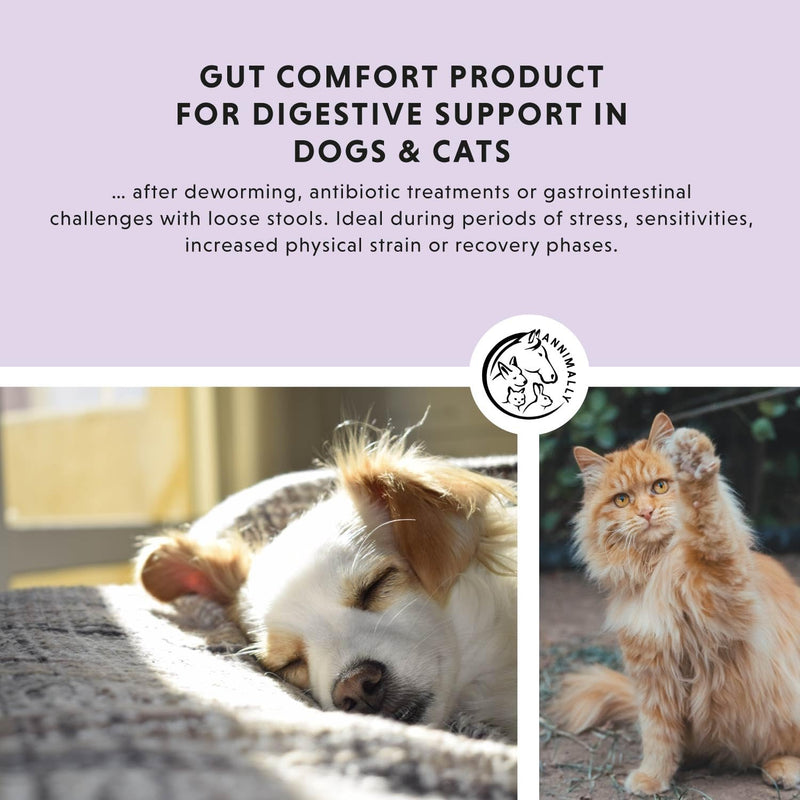 Annimally Colon Vital Powder for Dogs 250 g - Daily Digestive Supplement with Enterococcus faecium, Prebiotics, Chicory, Jerusalem Artichoke, Apple Pomace & Yeast, Made in Germany