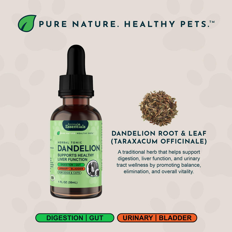 Animal Essentials Dandelion Extract for Dogs - Liquid Dandelion Root & Leaf Supplement, Liver & Kidney Support for Pets, Promotes Digestive Health, Natural Herbal Tonic for Dogs & Cats - 2 fl oz 2 Fl Oz (Pack of 1)