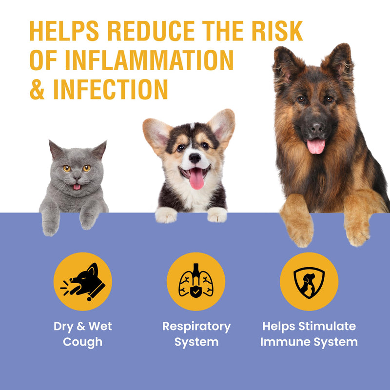 Kennel Cough Support for Dogs & Cats – Helps with Dry, Wet & Barking Cough – Herbal Pet Respiratory & Throat Support, Supports Breathing & Clear Airways – Natural Liquid Supplement – 2oz 2 Ounce
