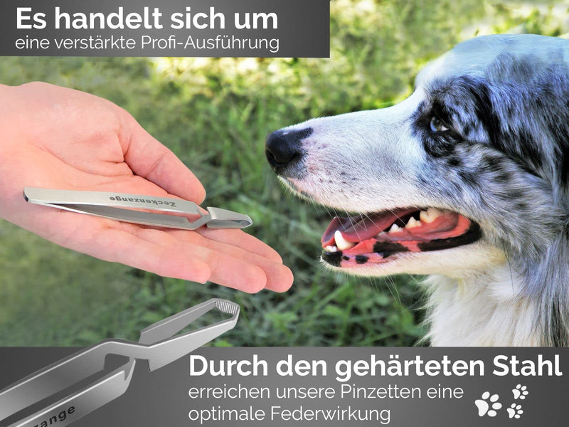 Tick tweezers for animals, dogs, cats and other pets made of stainless steel - BeesActive Australia