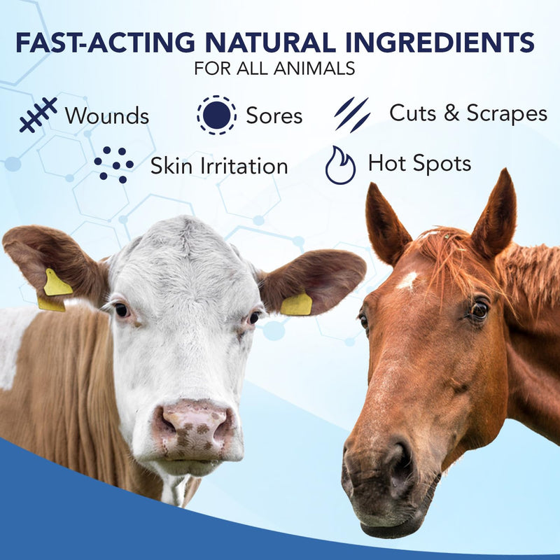 NOVEHA Pet Wound Spray - Sores, Abrasions and Wounds Care for Horse - Fast-Acting Skin Repair, Helps with Rashes, Hot Spots, Scratching, 6fl oz | 473ml - BeesActive Australia