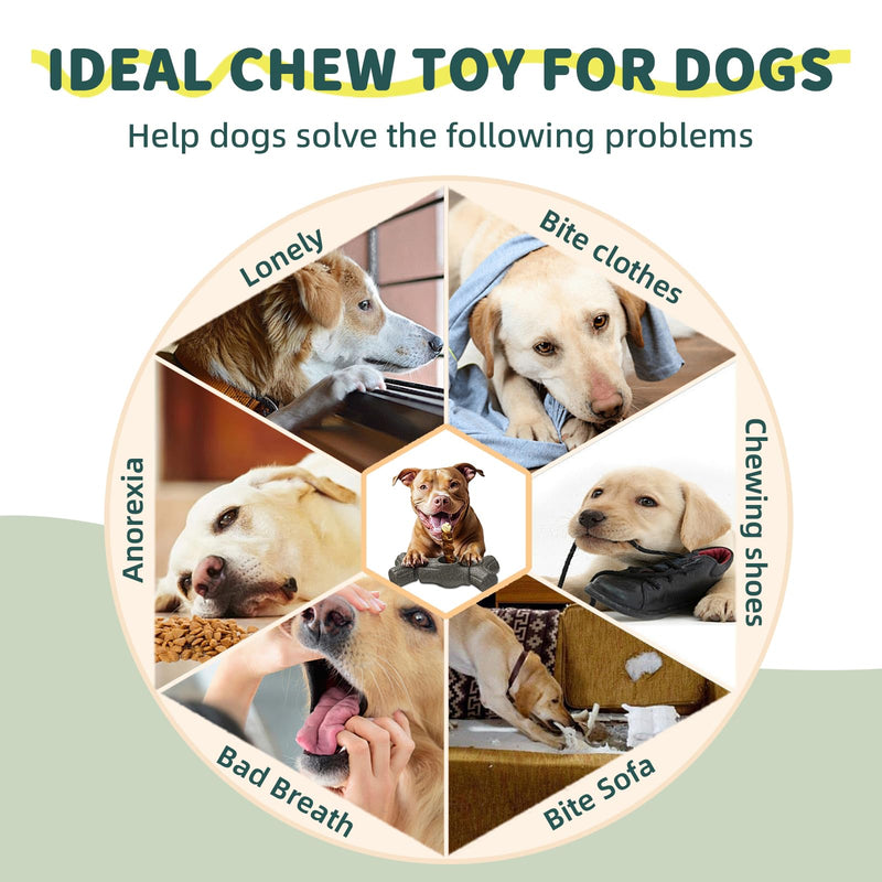 Bully Stick Holder for Dogs Improved Dog Chew Holder for Ultimate Secure Fixation Device to Prevent Swallowing of Bully Sticks,Yak Chews,Bull Whips Ends,Fits Small,Medium,Large Dog - BeesActive Australia
