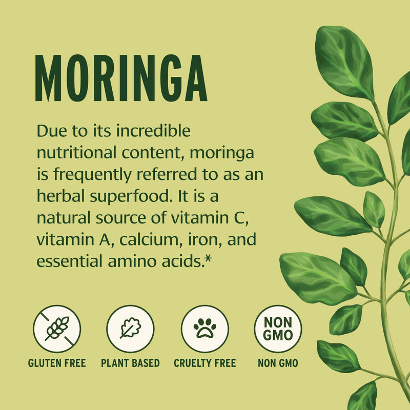 Banyan Botanicals Organic Moringa Powder – Moringa Oleifera – Superfood Powder and Natural Source of Vitamins & Minerals* – 1/2lb – Non-GMO Sustainably Sourced Vegan 1/2 Pound