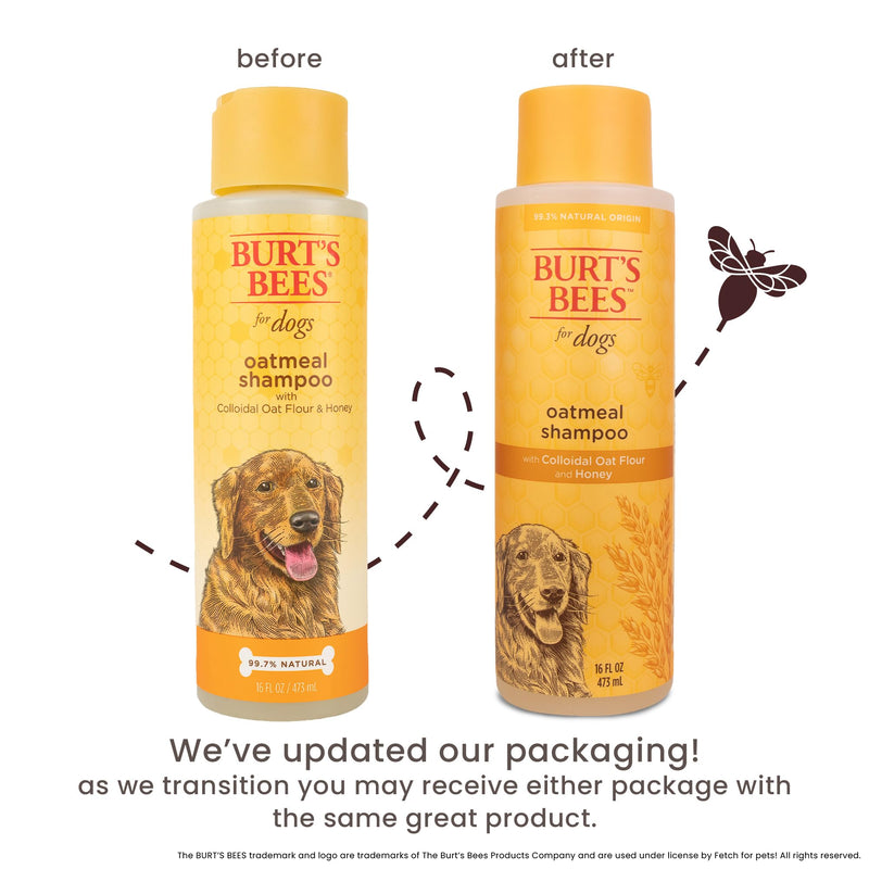 Burt's Bees for Pets Oatmeal Dog Shampoo - With Colloidal Oat Flour & Honey - Moisturizing & Nourishing, Cruelty Free, Formulated without Sulfates and Parabens, Made in USA, 16 Oz Unscented 16 Fl Oz (Pack of 1) - BeesActive Australia