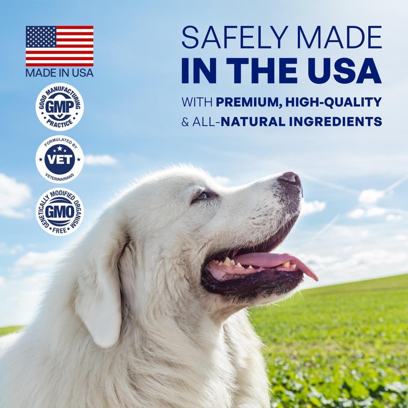 Total Health Dog Chews 12-in-1, Hip and Joint Supplement with Glucosamine Chondroitin for Dogs, Dog Multivitamin Treats with Omega 3 Salmon Oil and Vitamins for Skin and Coat Support, 60 Soft Chews