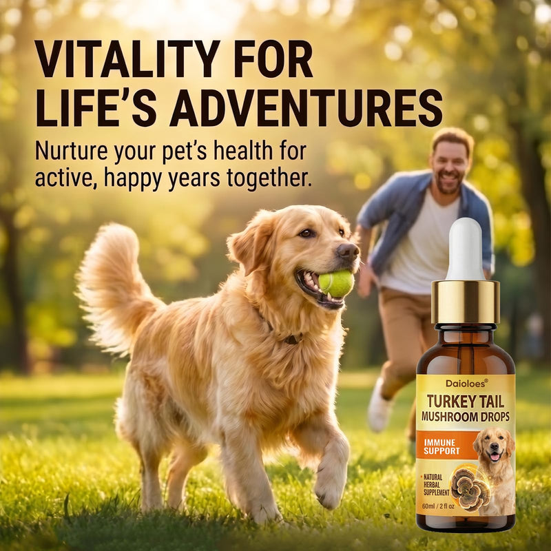 Turkey Tail Mushroom for Dogs, Immune Support & Digestive Health Supplement, 5X Turkey Tail Mushrooms for Pet Liquid Drops with Natural Turmeric & Probiotic, Faster Absorption, 2 Fl Oz(Pack of 1) 2 Fl Oz(Pack of 1)
