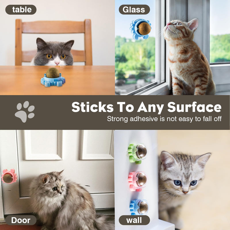 Catnip Balls Rollerball For Cats Wall Mount Magic Mint Stick Up Station Cat Nip Balls Cat Nips Organic Ball Cat Crack Catnip Ball Spinning Sugar Lick Rollerball Toy Chew Teeth Cleaning Anxiety Relief - BeesActive Australia