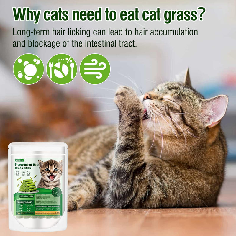 30g Cat Grass Sticks, Delicious Cat Grass Teething Stick Edible Cats Chew Toy Cat Treats Snack for Teeth Cleaning and Hairball Removal 30g