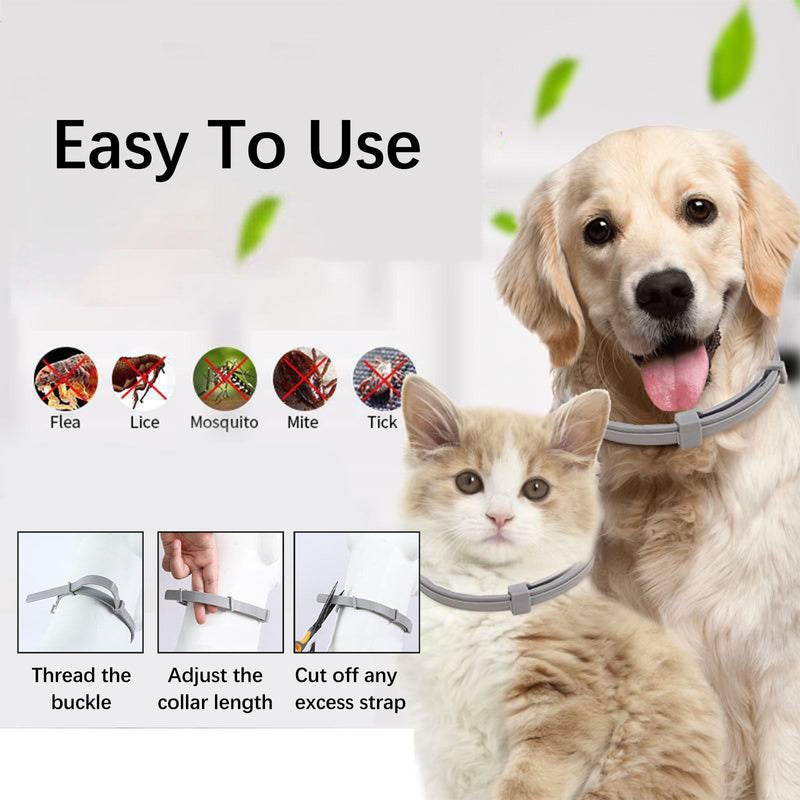 Flea collar for cats, 3 pieces flea collar for dogs, small, tick flea protection collar, tick collar for cats, tick flea collar for cats, flea tick collar for dogs and cats, waterproof and adjustable - BeesActive Australia