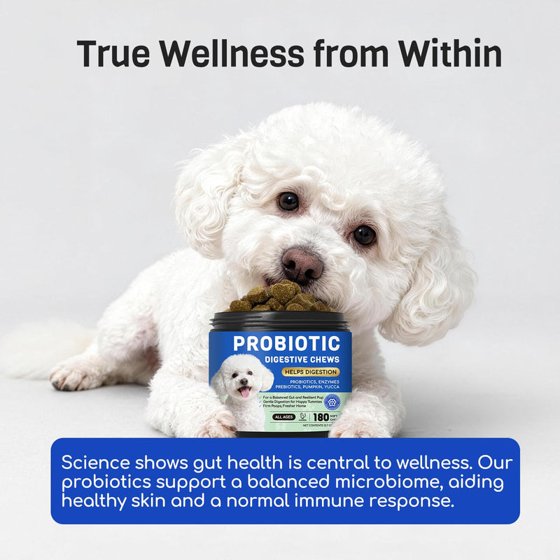 Probiotics for Dogs: 10B CFU Digestive Health Soft Chews with Prebiotics, Enzymes & Pumpkin - for Small & Large Dogs, Stool, Gut, Immune Support - Chicken, 180ct