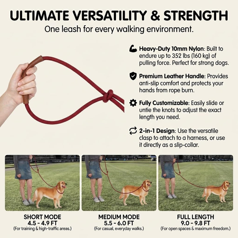 Tails & Tales Hands Free Dog Leash for Walking Running Training, Adjustable Lead Up to 9.8ft, Dogs Up to 125lbs, Crossbody, Dual Handle, Multifunctional, Double Attachment for 2 Dogs (Winery Red) Winery Red - BeesActive Australia