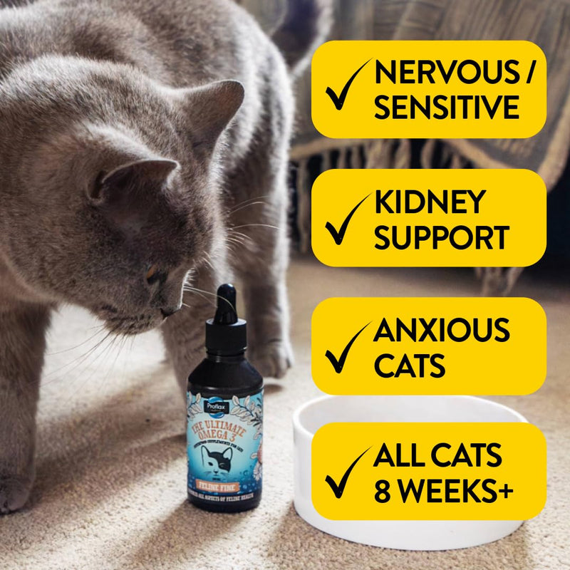 Proflax Feline Fine General Health & Kidney Support for Cats – Salmon Oil & Herbal Tinctures for Calm, Vitality & Wellbeing - 100ml