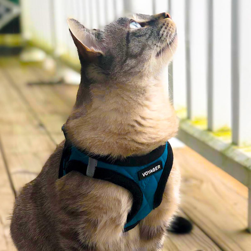 Voyager Step-In Plush Dog Harness – Soft Plush, Step In Vest Harness for Small and Medium Dogs by Best Pet Supplies - Harness (Turquoise Plush), L (Chest: 18 - 20.5") Harness (Turquoise Plush) L (Chest: 18 - 20.5") - BeesActive Australia