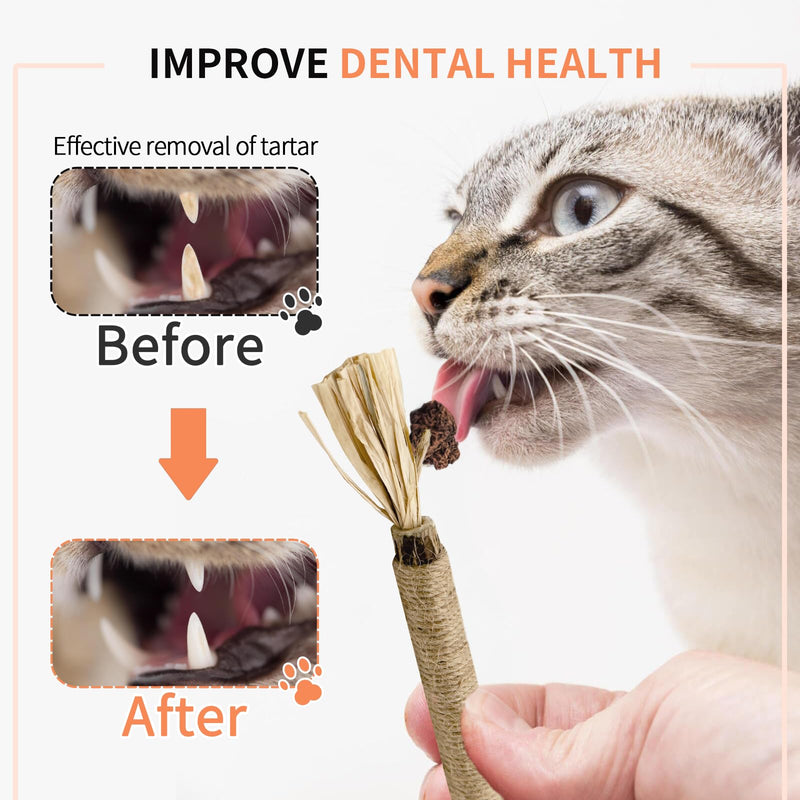 Catnip Toys with Silvervine for Cats, Cat Chew Toy for Kitten Teething, Interactive Cat Toy for Indoor Cats, Silvervine Sticks Cat Toys 3PCS - BeesActive Australia