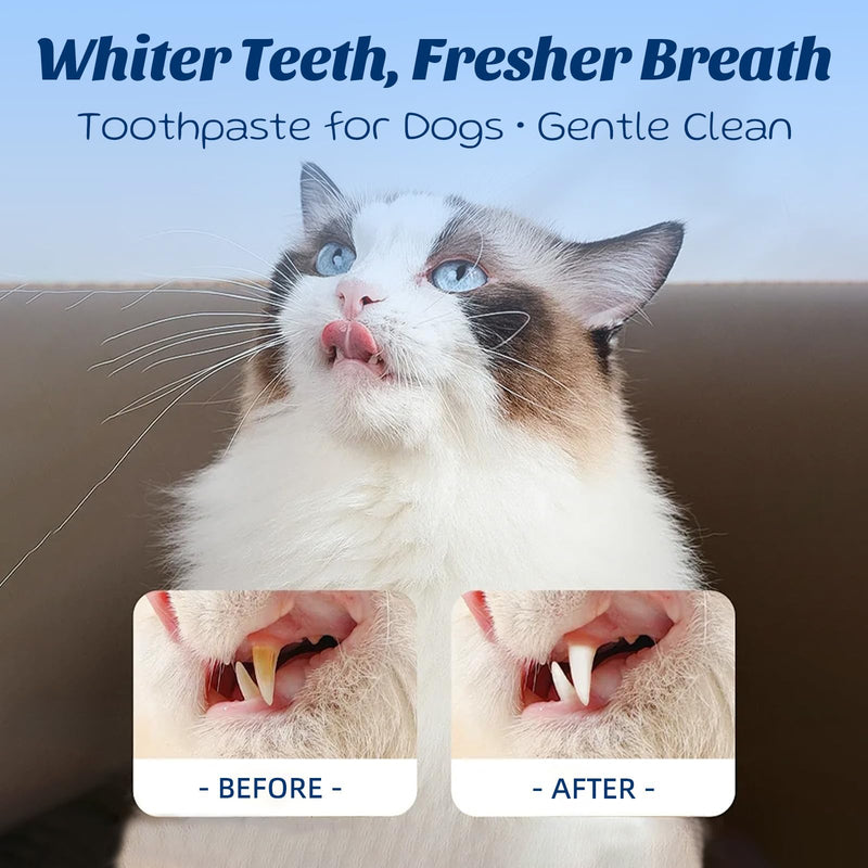 Dog Toothpaste with Toothbrush Kit - Coconut Chicken Flavor Pet Dental Care, Plaque Tartar Remover, Fresh Breath, Easy Brushing No Resistance for Dogs Cats, 2.1oz