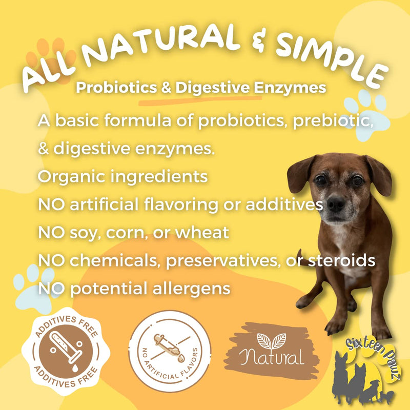 Probiotics, Prebiotics, & Digestive Enzymes for Dogs| Limited Ingredients| Organic |Digestive Support |Allergy Relief |Immune Support| Reduces Inflammation| Diarrhea & Gas Relief 65g - PawsPlanet Australia
