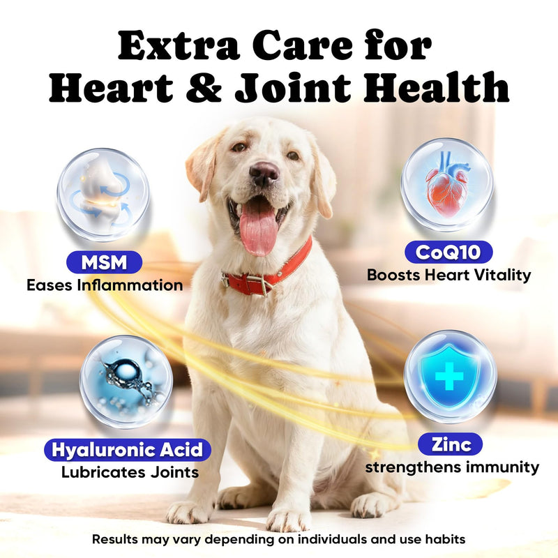 Dog Gut & Skin Health Bundle – Probiotic Soft Chews with Liquid Fish Oil for Digestive Balance, Skin Comfort & Immune Care