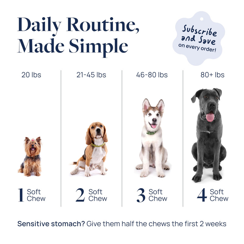 Veterinary Formula Eye Health Supplement for Dogs – Vet-Formulated Tear Stain Chews with Omega 3, Lutein & Cranberry – Smart Vitality Supports Eye Moisture, Stain Reduction & Immunity, 60 Soft Chews 60 ct
