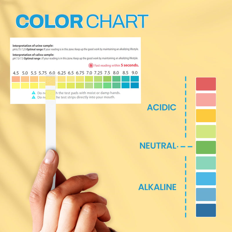 One Step pH Test Strips for Urine & Saliva Testing (4.5-9.0), 100 pH Strips, Test Alkaline & Acid Levels in The Body, Body pH Test Kit, Highly Accurate Results in Seconds, Home Health Tests - BeesActive Australia
