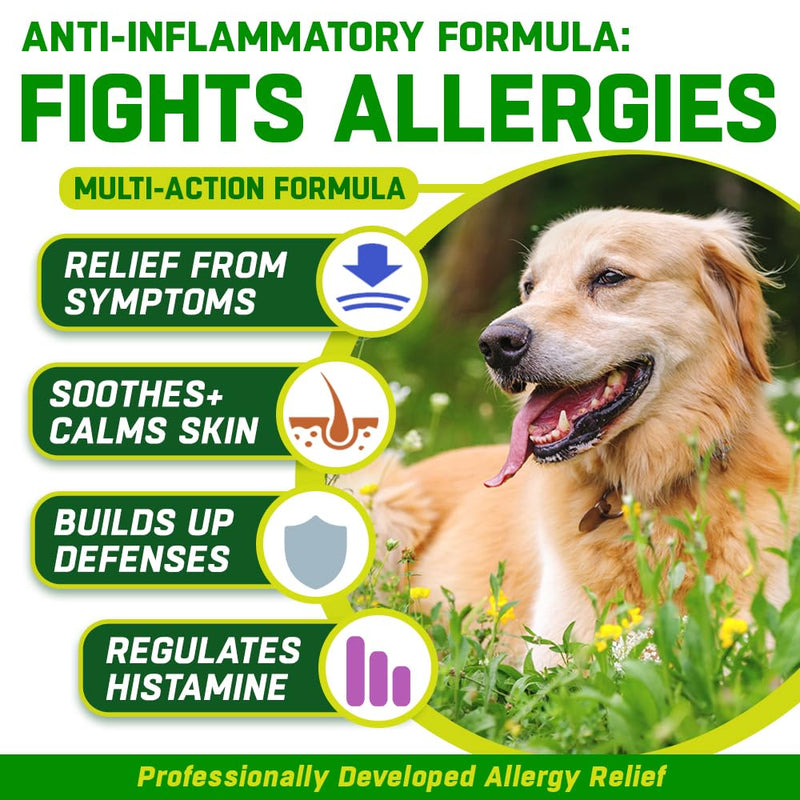 Anti Itch Chews for Dogs | Allergy Relief with Quercetin | 10-in-1 Probiotics, Omega 3, Colostrum & Astragalus | Real Meat Soft Chews, Grain Free | 150 Chews