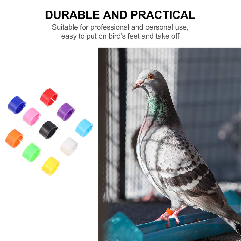 EXCEART Chicken Legs 100 Pcs Bird Rings Pigeon Foot Rings Plastic Multi- Colour Pigeon Foot Bands Clip on Multi- Color Leg Rings for Chicks Bantam Finch Dove Lovebird Quail Small Poultry Ringd - PawsPlanet Australia