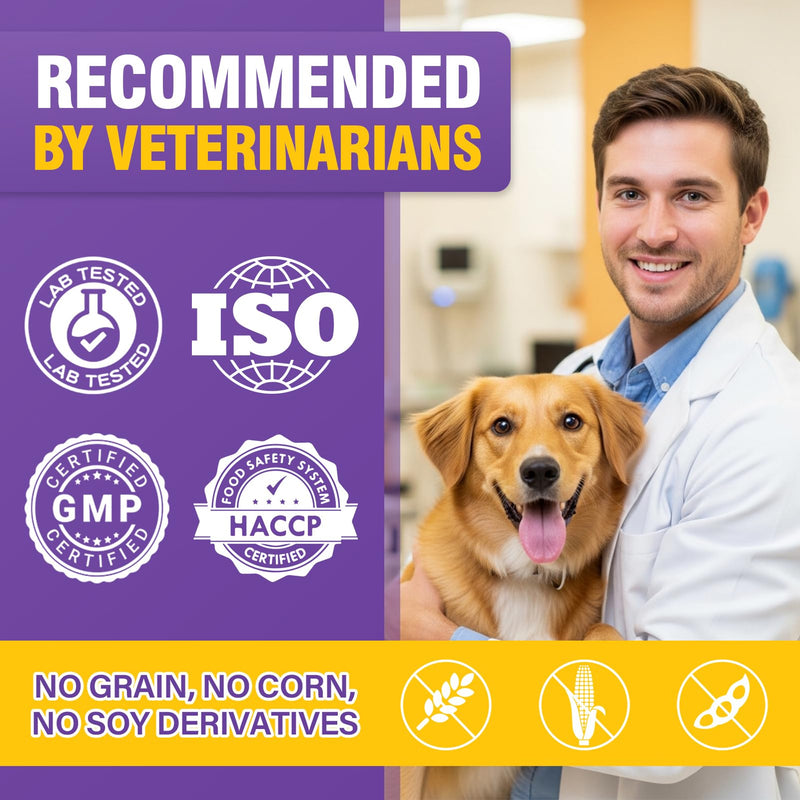 Dog Anal Gland Soft Chews 150 Stop Scoot for Dogs Supports Anal Gland Bowel Function Digestive Health Fiber Pumpkin Supplement for Dogs Pet Diarrhea Bowel Support Probiotics Digestive (Chicken Flavor) 150 Count(Pack of 1)