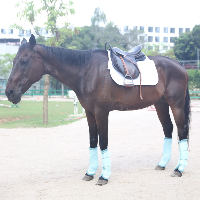 Fly Boots for Horses Set of 4, Breathable Comfy Mesh Horse Leggings Reduce Stomping, Hoof Stress, and Leg Fatigue SkyBlue Cob Sky Blue - BeesActive Australia