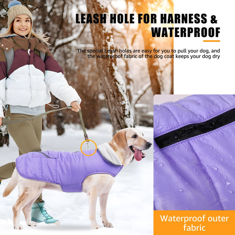 iBuddy Dog Winter Jackets with Fleece Vest,Waterproof Warm Dog Snow Jacket Windproof, Reflective Adjustable Pet Dogs Cold Winter Coat for Large Dogs Girl Boy Purple X-Large - BeesActive Australia
