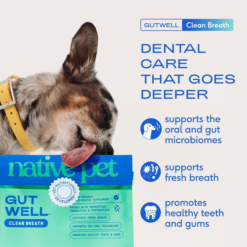 Native Pet Fresh Breath Bundle: 60 Scoops GutWell Clean Breath - Dog Breath Freshener & 5 Small Yak Cheese Himalayan Dog Chews - Long Lasting Dental Sticks