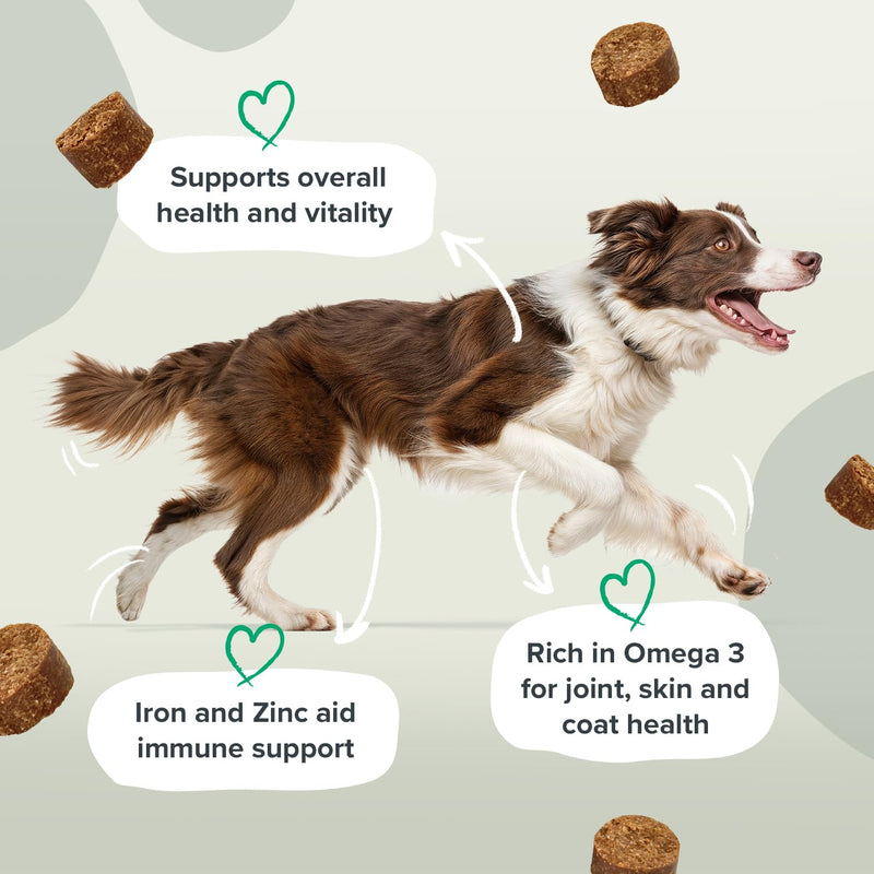Multi-Vitamins & Minerals Soft Chew Dog Supplements – 21 Essential Nutrients for Daily Health, Energy, Joints, Skin & Coat with Omega 3 EPA & DHA – 60 Soft Chews 60 Chews