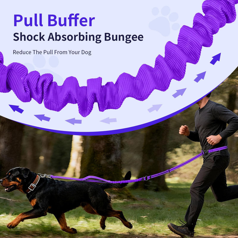 Kazazoo Hands-Free Dog Leash with 6-9FT Adjustable Length - Heavy Duty No Pull Bungee Design, Reflective Safety for Walking, Jogging & Training | Suitable for Medium to Large Dogs Purple L PRUPLE