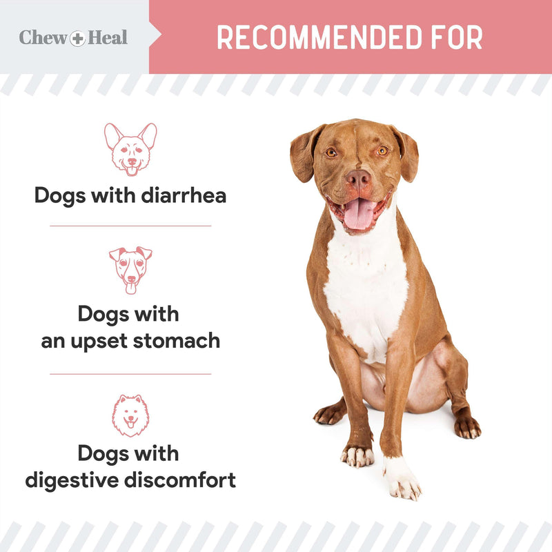Chew + Heal Labs Anti Diarrhea for Dogs - 2 oz. of Stop The Diarrhea Liquid Supplement with Kaolin - for Diarrhea and Upset Stomach Relief - Made in The USA - BeesActive Australia
