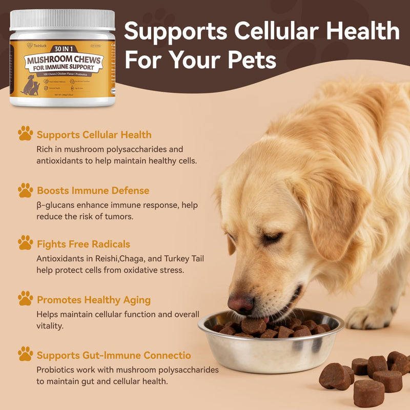 Turkey Tail Mushroom Chews for Dogs & Cats, 100 Chews, 7 Mushroom Blend with 6 Probiotic Strains, Daily Immune and Digestive Support