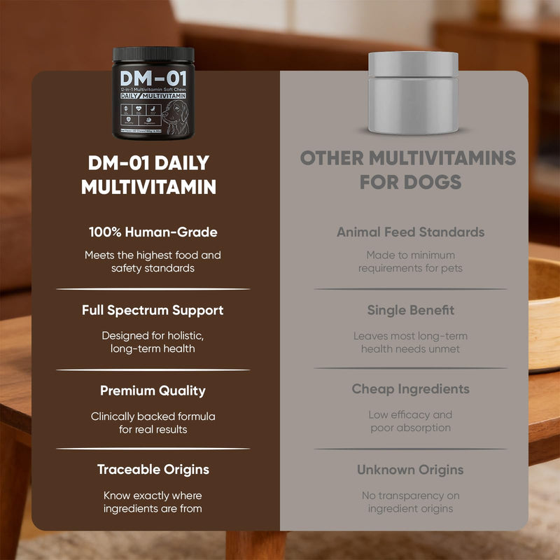 Daily Multivitamin for Dogs, Multivitamin Itch Relief Chews with Folic Acid, Salmon Oil, Probiotics & Vitamins, Skin and Coat Healthy, Gut Health & Boost Immunity, Beef Flavor, 60 Chew (1) 1