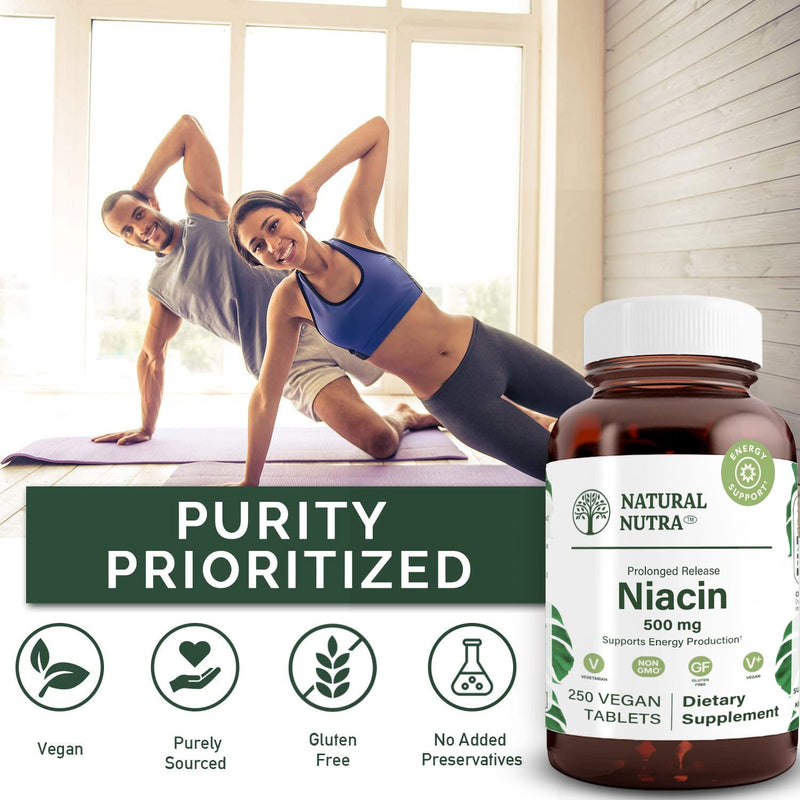 Natural Nutra Time-Release Slow Niacin 500mg Vitamin B3 250 Vegan Tablets | Supports Healthy Cholesterol, Promotes Cardiovascular Health, Promotes Skin Cells, Improves Cognitive Function 250 Count (Pack of 1)