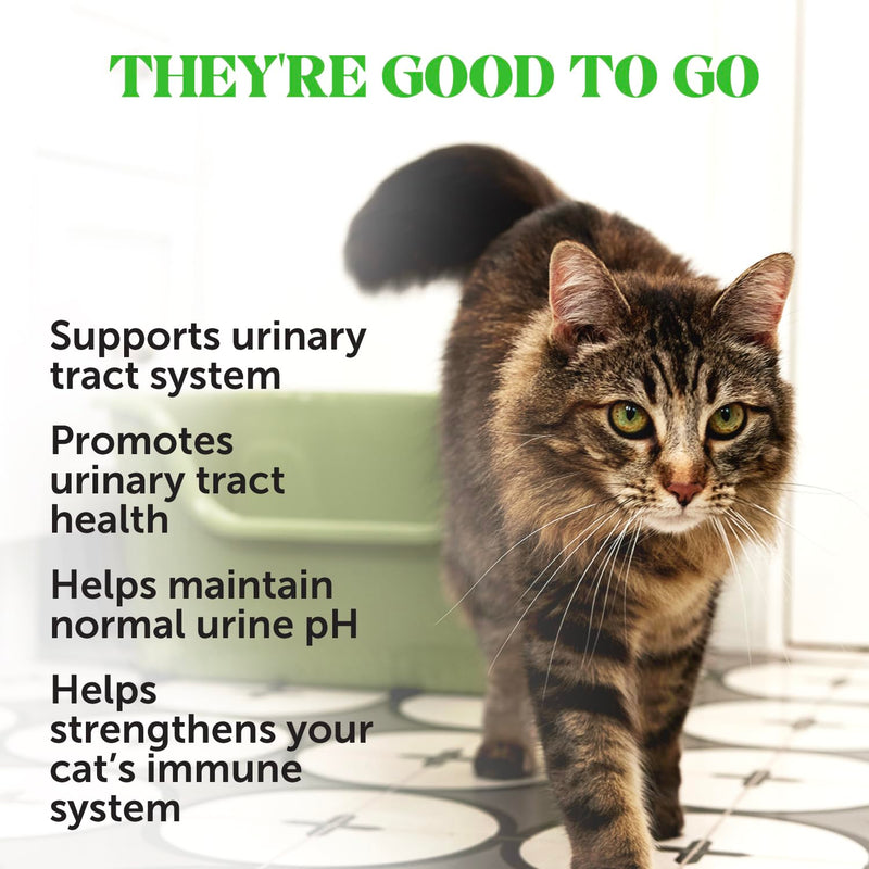 Cat Urinary Tract Health Dual Texture Chews - Promotes Healthy Digestion & Normal Bladder Function with Cranberry, Antioxidants, & Probiotics - Kidney + Bladder Support Supplement (30 Day Supply) Chicken 30 Day Supply - PawsPlanet Australia