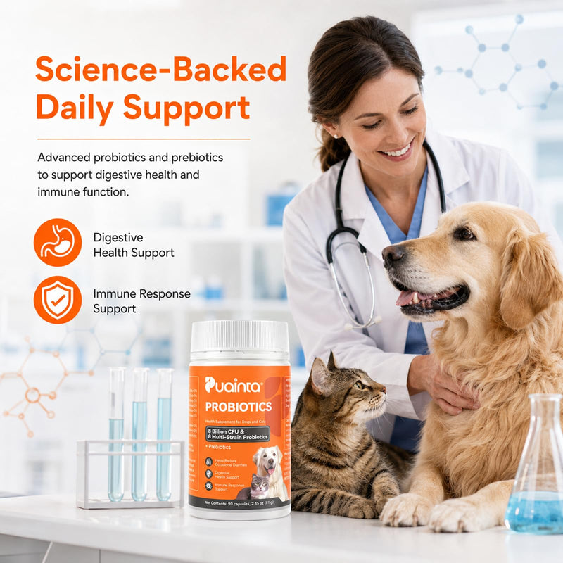 PUAINTA Probiotics for Dogs & Cats – 8-Strain Probiotic with Prebiotics for Digestive & Gut Health, Immune & Stool Support, Helps Dogs Eating Dirt, Grass & Non-Food Items (90 Count) 90 Count