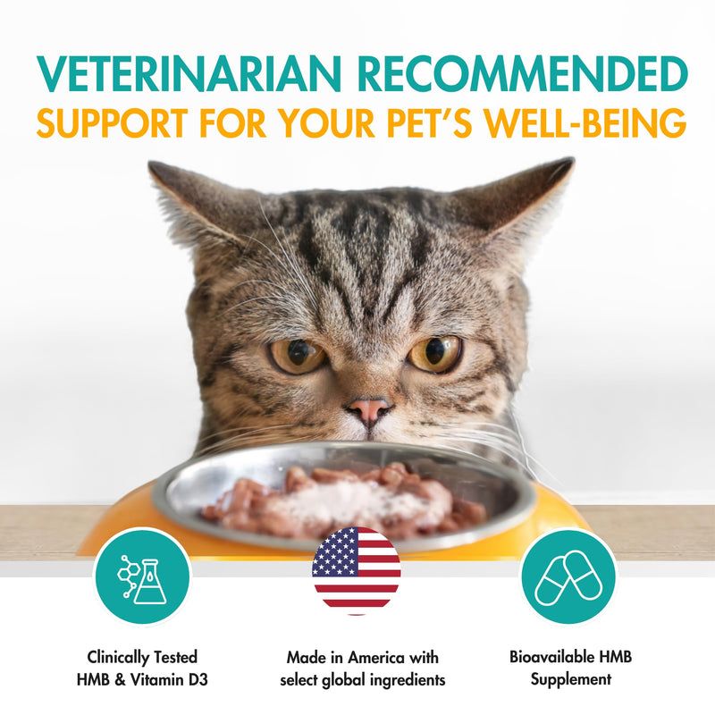 Muscle Support Pet Supplement for Small Dogs & Cats with CaHMB & Vitamin D3 – All Ages & Senior Dog Supplements for Muscle Strength, Mobility & Daily Activity – (30 Capsules, 2-Pack) 180 mg