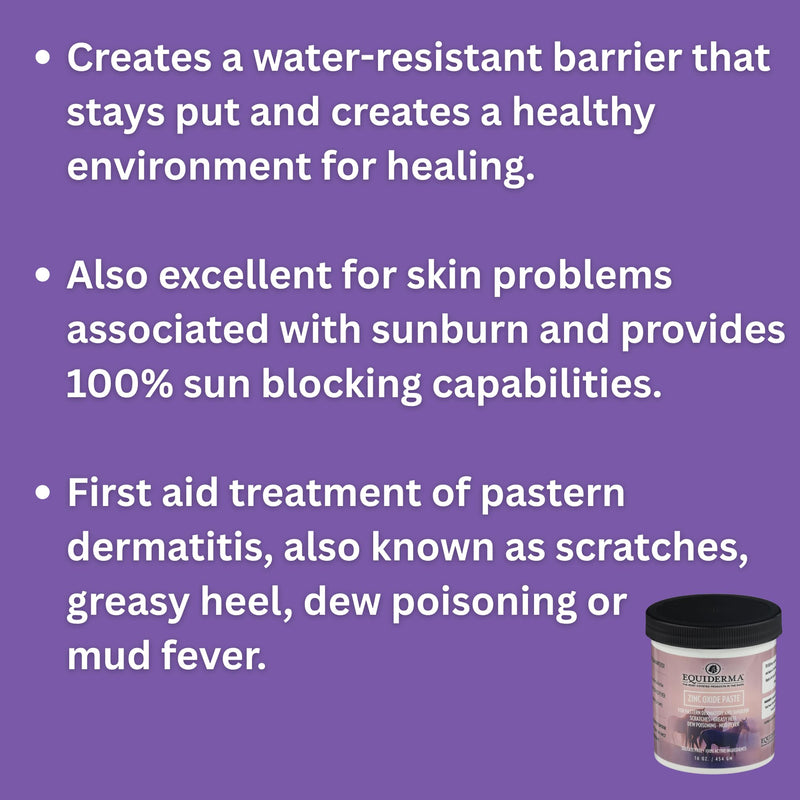 EQUIDERMA Zinc Oxide Paste for Horses, Ointment for Horse Skin Conditions, 16 Oz.