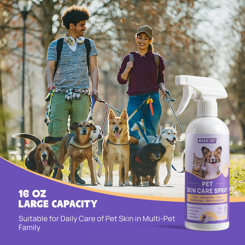 HICC PET Hot Spot Itch Relief Spray for Dogs, Cats - Pet Treatment Spray for Itchy, Irritated Skin, Allergy, Rashes - Lick Safe and Painless Wound Care Spray for All Animals 16 Fl Oz - BeesActive Australia