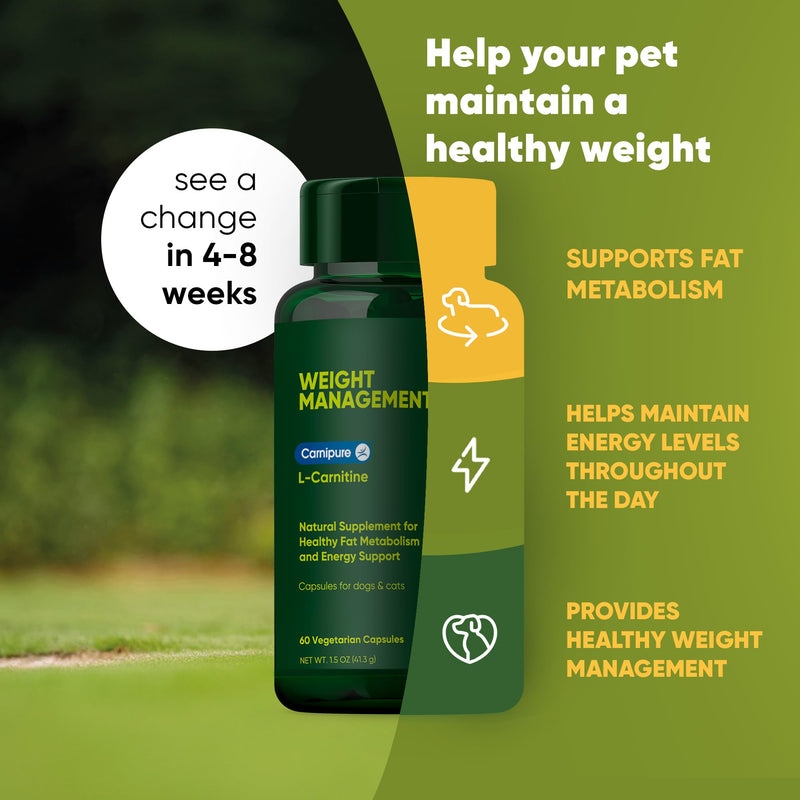 Rooted Owl Metabolism Support - L-Carnitine Supplement for Dogs and Cats to Support Healthy Weight - Dog and Cat Supplement - 60/ct Weight Management
