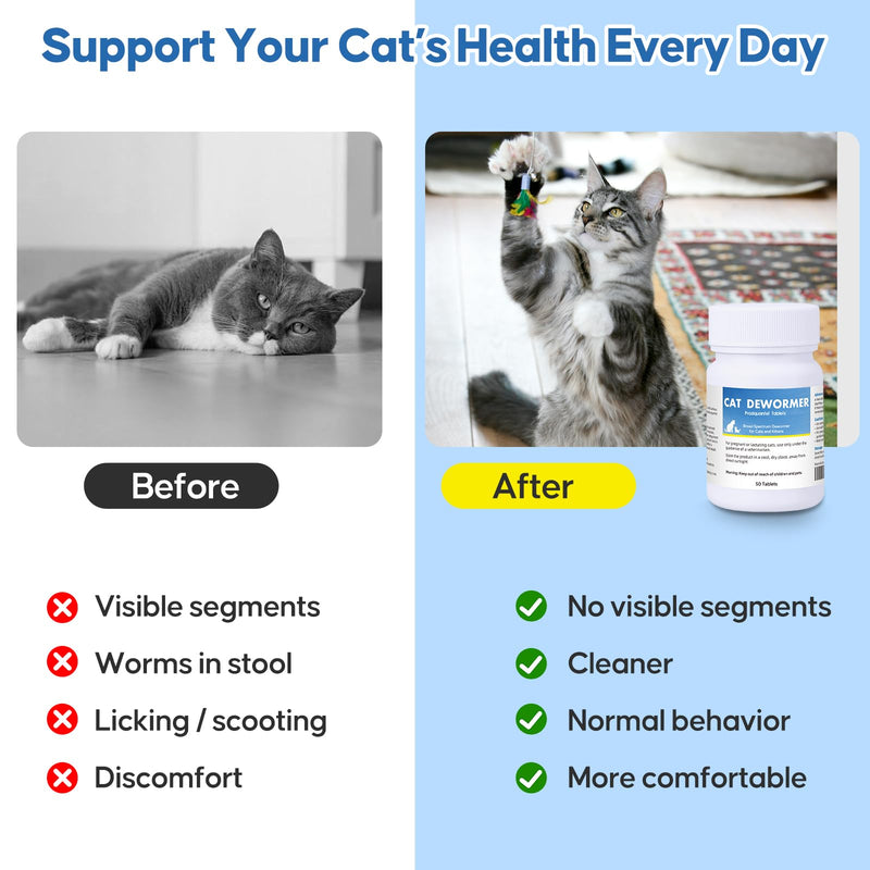 Dewormer for Cats and Kittens, Praz-qantl Tablets Broad Spectrum Dewormer for Tapeworms, Hookworms & Roundworms, for Cats and Kittens 6 Weeks and Older, Easy to Administer, 50 Tablets