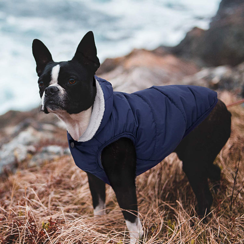 Dog Fleece Hoodie, Windproof Waterproof Dog Coat Fleece & Cotton Lined Warm Dog Jacket, Cold Weather Pet Apparel Clothes Vest for Small Medium Large Dog (L: Length 15", Chest 17.3"-20", Blue) L: Length 15", Chest 17.3"-20" - BeesActive Australia