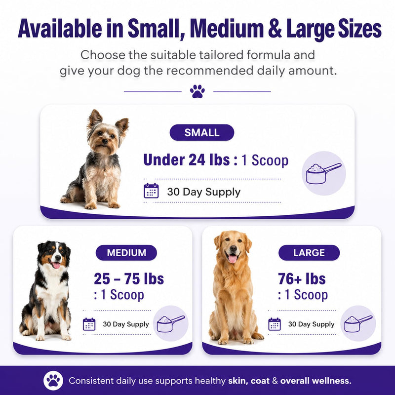 Petscy Dog Dental Powder for Teeth Cleaning & Fresh Breath Support | Helps Reduce Tartar Build Up | Plaque Off No Brush Dog Teeth Cleaning Powder & Breath Freshener | Daily Food Topper (Large Dogs) Large