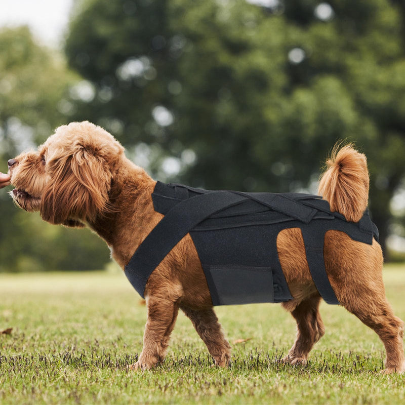 Jiawu Dog Back Brace, Pet Back Bracer, Dog Back Protector for Arthritis, Spinal Surgical Recovery, Herniated Slipped Disc, Rehabilitation, Injury, Dog Back Supporting Vest (M)