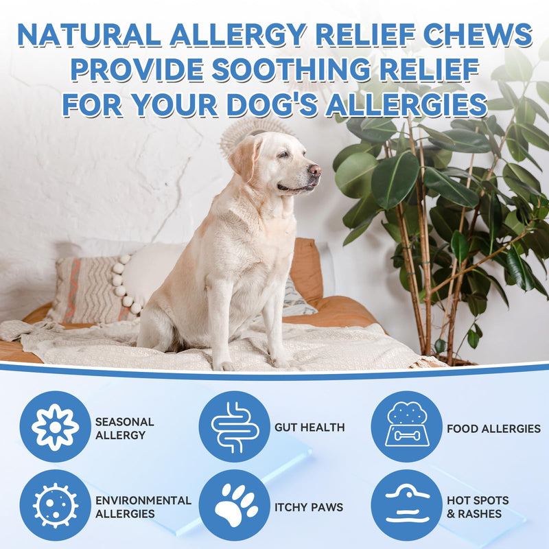 Dog Allergy Relief Chews 200 PCS, Dog Allergy Chews Anti-Itch for Dogs - Omega 3 Fish Oil -Dog Itching Skin Relief, Immune & Skin & Coat Support, Hot Spots, Paw Licking and Allergies - PawsPlanet Australia
