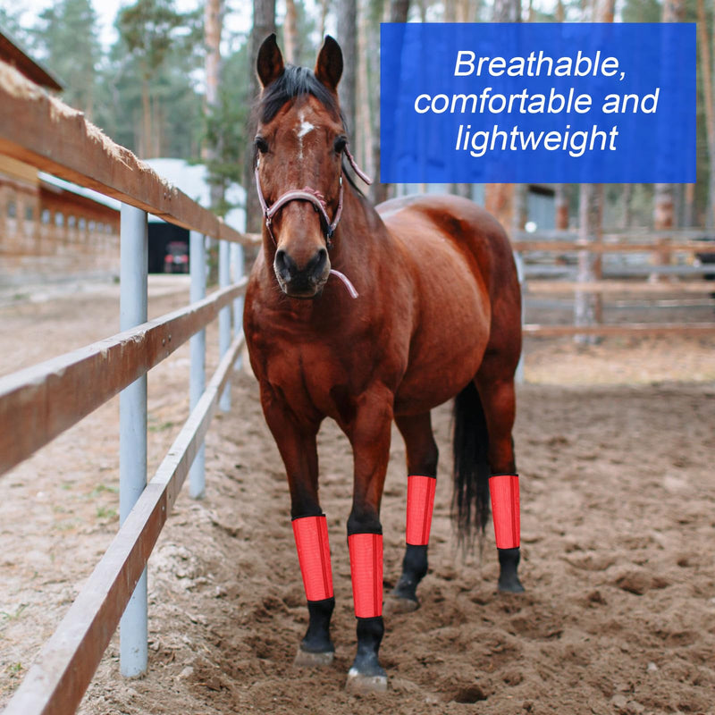 8 Pcs Mesh Fly Boots for Horse Breathable Mesh Horse Boots Protective Horse Leg Wraps Horse Leggings for Preventing Flies and Mosquitoes Bites (Red, Rose Red) Red, Rose Red - BeesActive Australia