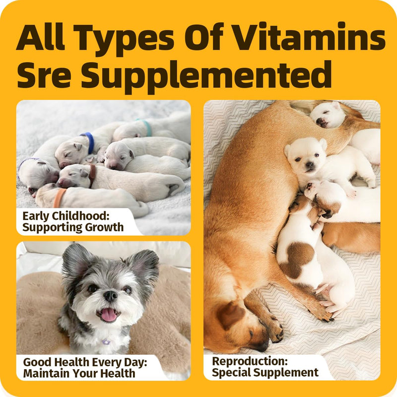 Multivitamins Supplement for UTIs & Allergy Relief, Skin & Coat Care, Hip & Joint Supplement, Immunity Boosting & Digestive Aid for Dogs & Cats 2.03 Fl Oz (1 Bottle) 1 Bottle