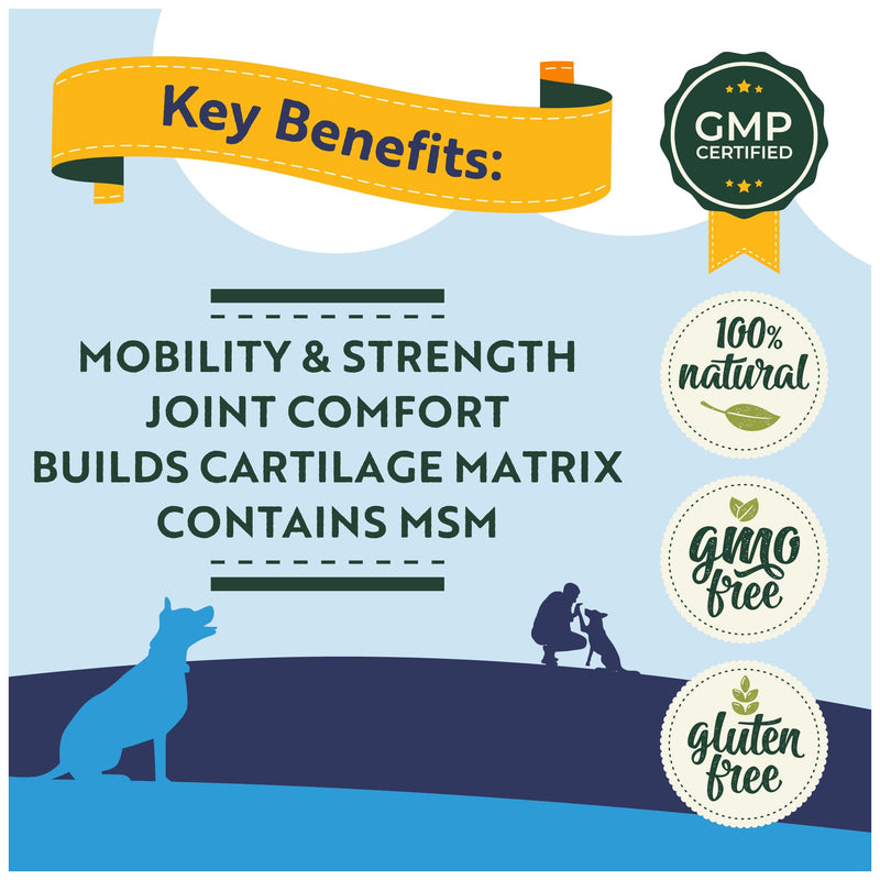Healthy Paws Joint & Hip Treats for Dogs – Glucosamine, MSM, Chondroitin, Curcuma, Green-Lipped Mussels & Vitamin E – Supports Mobility, Flexibility, Strength & Stiffness Relief