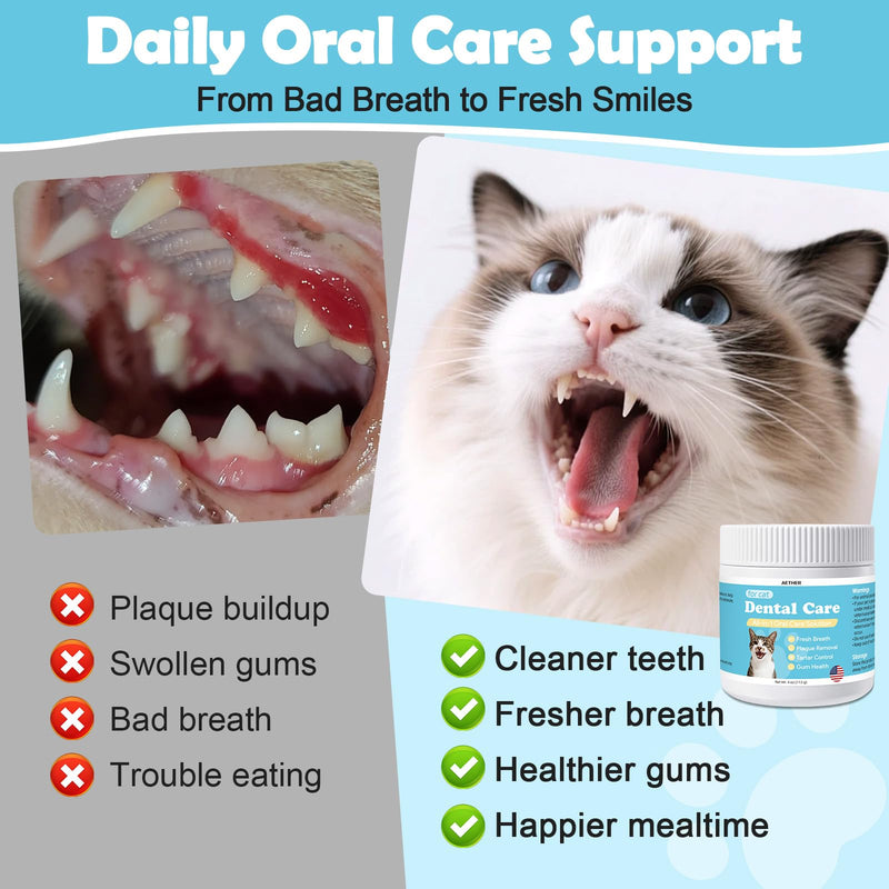 AETHER Cat Dental Care Powder, Cat Gingivitis Support with Natural Extracts, Helps Reduce Bad Breath, Plaque & Tartar, Supports Teeth, Gums Oral Health, Daily Teeth Cleaning Supplement for Cats, 4oz
